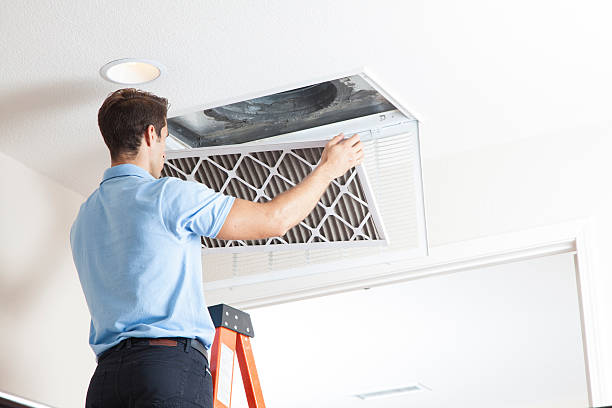 Best HVAC Repair Near Me  in Toulon, IL